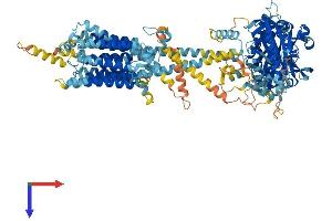 ADCY2 Protein (AA 1-1091) (His tag)