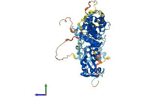 Protein Structure (PS) image for Fas-Activated serine/threonine Kinase (FASTK) (AA 1-511) protein (His tag) (ABIN7561560)