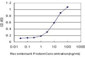 Detection limit for recombinant GST tagged DIABLO is approximately 0. (DIABLO Antikörper  (AA 119-218))