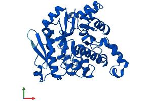 AlphaFold protein structure predicition of Mouse Recombinant Acmsd Protein, UniprotID Q8R519