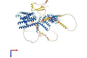 CNGB3 Protein (AA 1-809) (His tag)