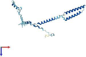 ENKUR Protein (AA 1-256) (His tag)
