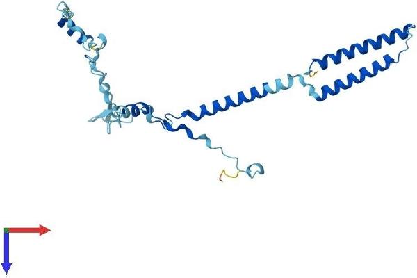 ENKUR Protein (AA 1-256) (His tag)