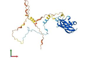 Protein Structure (PS) image for Protein Phosphatase 1, Regulatory Subunit 3E (PPP1R3E) (AA 1-279) protein (His tag) (ABIN7550977)