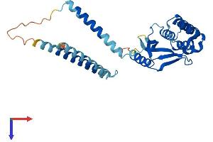 OTUD6B Protein (AA 1-293) (His tag)