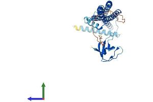 Protein Structure (PS) image for SH3-Domain GRB2-Like Endophilin B1 (SH3GLB1) (AA 1-365) protein (His tag) (ABIN7555504)