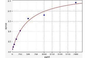 Chemokine (C-X-C Motif) Receptor 2 (CXCR2) ELISA Kit