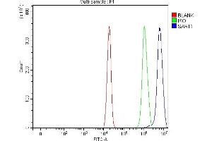 Flow Cytometry analysis of U20S cells using anti-SART1 antibody (ABIN7599884). (SART1 Antikörper  (AA 125-800))