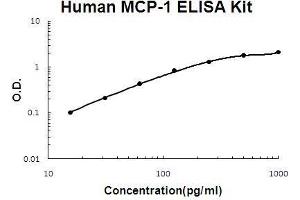Human MCP-1 PicoKine ELISA Kit standard curve (CCL2 ELISA Kit)