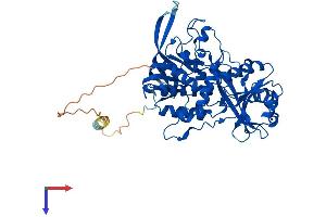 FOXRED1 Protein (AA 1-486) (His tag)