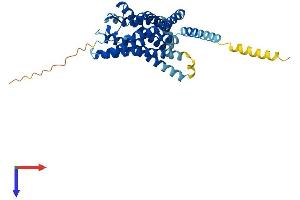 GPR183 Protein (AA 1-361) (His tag)