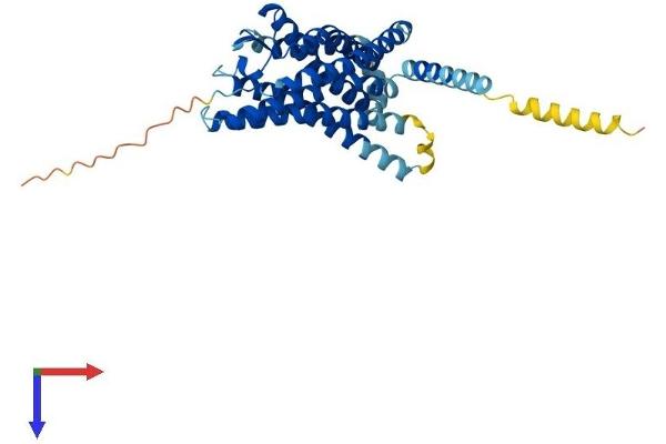 GPR183 Protein (AA 1-361) (His tag)