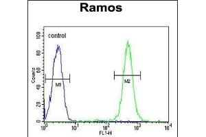C19orf63 Antibody (N-term) (ABIN651381 and ABIN2840212) flow cytometric analysis of Ramos cells (right histogram) compared to a negative control cell (left histogram). (EMC10 Antikörper  (N-Term))