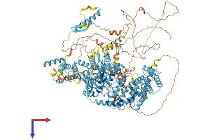 RGS22 Protein (AA 1-1264) (His tag)