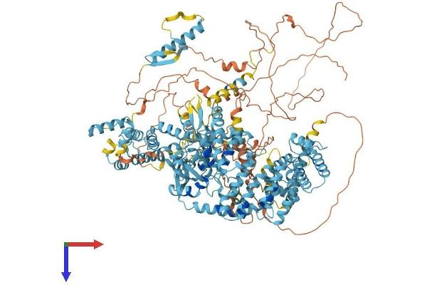 RGS22 Protein (AA 1-1264) (His tag)