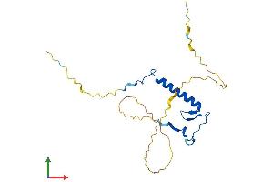 Protein Structure (PS) image for Cyclin-Dependent Kinase Inhibitor 1B (p27, Kip1) (CDKN1B) (AA 1-198) protein (His tag) (ABIN7553272)