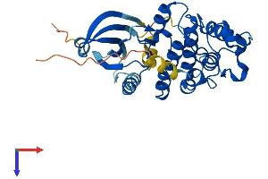 CDK6 Protein (AA 1-326) (His tag)