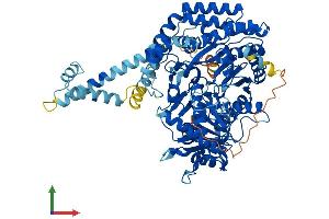 Protein Structure (PS) image for Carnitine Palmitoyltransferase 1C (CPT1C) (AA 1-798) protein (His tag) (ABIN7558544)