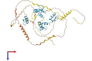 MAZ Protein (AA 1-477) (His tag)