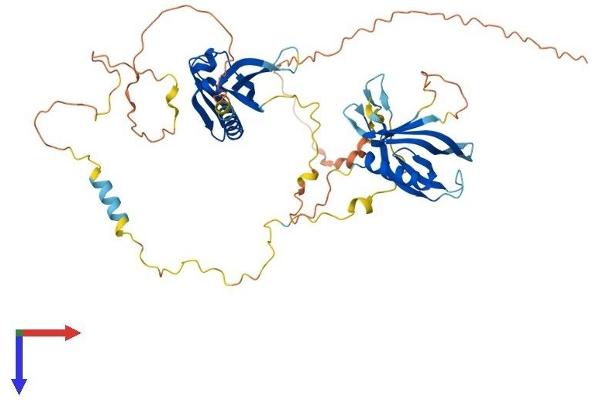 DOK1 Protein (AA 1-481) (His tag)