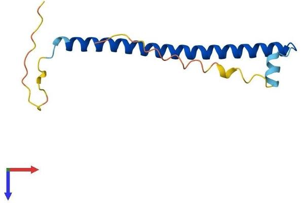 CREBL2 Protein (AA 1-120) (His tag)