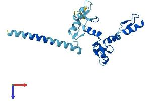 AlphaFold protein structure predicition of Human Recombinant ZNF137P Protein, UniprotID P52743