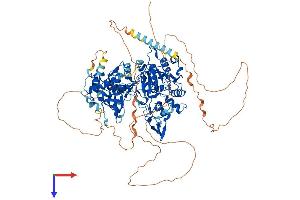 DNMT3A Protein (AA 1-908) (His tag)