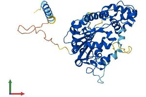 Protein Structure (PS) image for Carbohydrate (Keratan Sulfate Gal-6) Sulfotransferase 1 (CHST1) (AA 1-411) protein (His tag) (ABIN7553467)