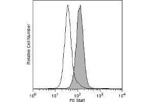 Flow Cytometry (FACS) image for anti-Signal Transducer and Activator of Transcription 1, 91kDa (STAT1) (AA 1-194), (N-Term) antibody (PE) (ABIN1176937)