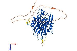 CCRN4L Protein (AA 1-431) (His tag)