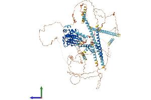 Protein Structure (PS) image for NIMA-Related Kinase 1 (NEK1) (AA 1-1203) protein (His tag) (ABIN7563410)
