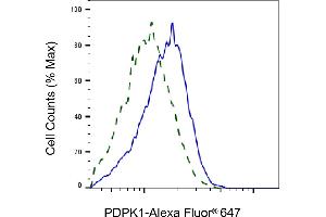 Validation of PDPK1 knockdown using flow cytometry.