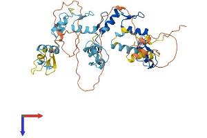 ZNF766 Protein (AA 1-468) (His tag)