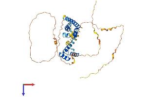 OCT4 Protein (AA 1-360) (His tag)
