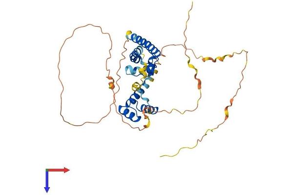 OCT4 Protein (AA 1-360) (His tag)