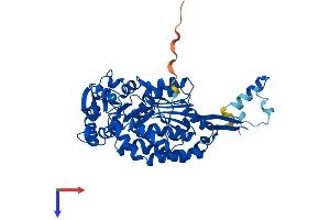 Protein Structure (PS) image for Aldehyde Dehydrogenase 3 Family, Member B3 (Aldh3b3) (AA 1-479) protein (His tag) (ABIN7562162)