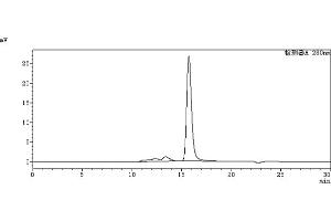 anti-PDCD1 (Toripalimab Biosimilar) antibody