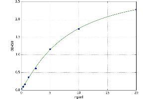 A typical standard curve (BCL2L1 ELISA Kit)