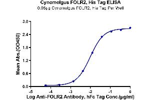 Immobilized Cynomolgus FOLR2, His Tag at 0. (FOLR2 Protein (AA 9-187) (His tag))