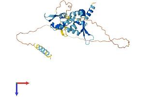 MAGEB2 Protein (AA 1-319) (His tag)