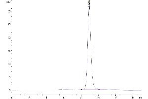 Size-exclusion chromatography-High Pressure Liquid Chromatography (SEC-HPLC) image for Epiregulin (EREG) (AA 63-108) protein (Fc Tag) (ABIN7274568)