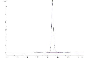 The purity of Human EREG is greater than 95 % as determined by SEC-HPLC. (Epiregulin Protein (EREG) (AA 63-108) (Fc Tag))