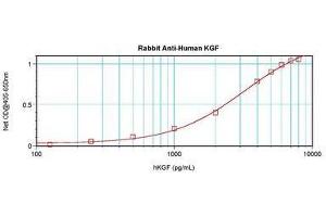 Image no. 3 for anti-Fibroblast Growth Factor 7 (FGF7) antibody (ABIN465624) (FGF7 Antikörper)