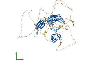Protein Structure (PS) image for Chromosome 14 Open Reading Frame 104 (C14orf104) (AA 1-837) protein (His tag) (ABIN7554397)