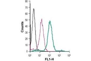 Cell surface detection of Zinc transporter ZIP8 in live intact human THP-1 monocytic leukemia cells: (black line) Cells. (SLC39A8 Antikörper  (Extracellular) (FITC))