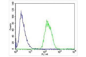 Overlay histogram showing SH-SY5Y cells stained with (ABIN6243251 and ABIN6577964) (green line). (LRRK2 Antikörper  (C-Term))