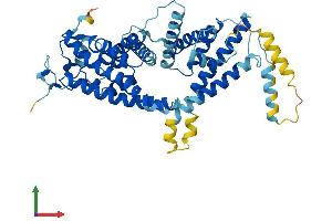 AlphaFold protein structure predicition of Mouse Recombinant Tmem135 Protein, UniprotID Q9CYV5