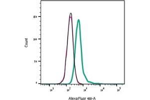 Black Line:  cells. (alpha-Bungarotoxin (Active) protein (Atto 488))