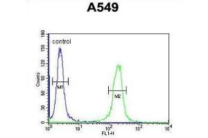 Flow Cytometry (FACS) image for anti-Intraflagellar Transport 43 Homolog (IFT43) antibody (ABIN3002323) (IFT43 Antikörper)
