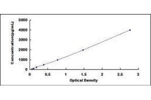 ELISA image for Toll-Like Receptor Adaptor Molecule 1 (TICAM1) ELISA Kit (ABIN429950)